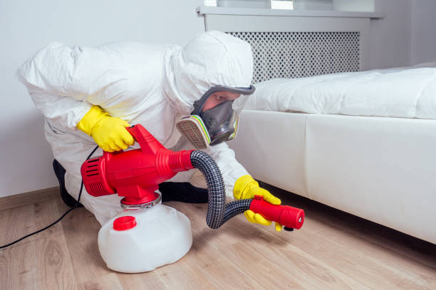 Professional Pest Control in East Glenville, NY